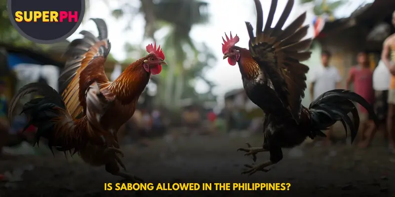 Is Sabong allowed in the Philippines