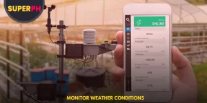 Monitor Weather Conditions